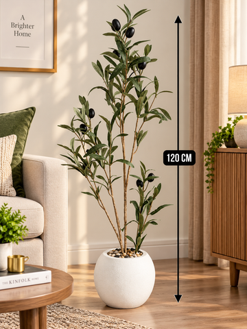 Fruitful Zaitone Plant 120CM White Decorative Pot For Living Home and Living Home