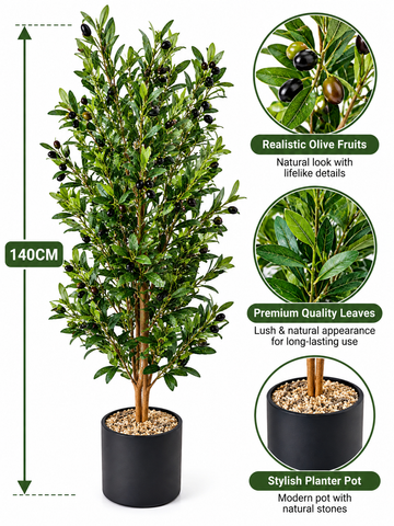 140CM Fruitful Zaitone Plant Black decorative Pot For Home Decoration and Living Home